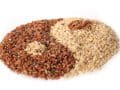 Gut Microbiome - Strike It Rich with Whole Grains