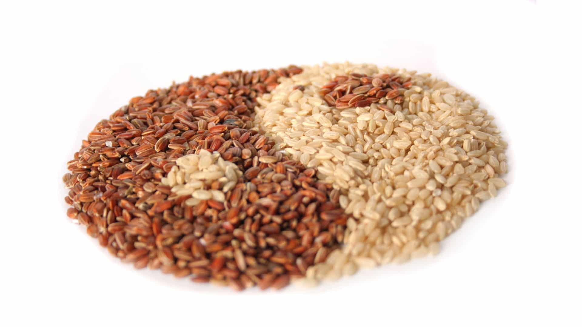 Gut Microbiome - Strike It Rich with Whole Grains