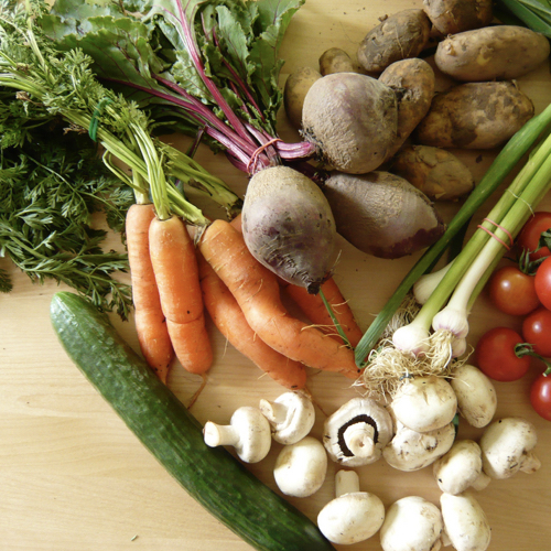 Alimentos Orgánicos