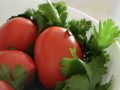 Best Foods for Lead Poisoning: Chlorella, Cilantro, Tomatoes, Moringa?