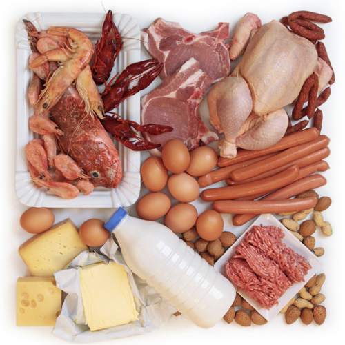 animal protein | Health Topics 