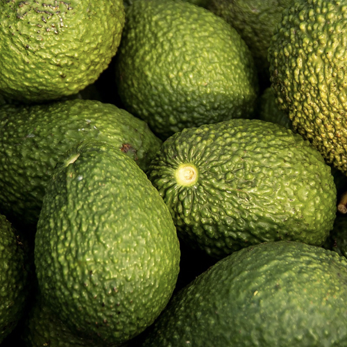 6 Health Benefits of Avocados