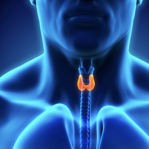 thyroid disease | Health Topics | NutritionFacts.org