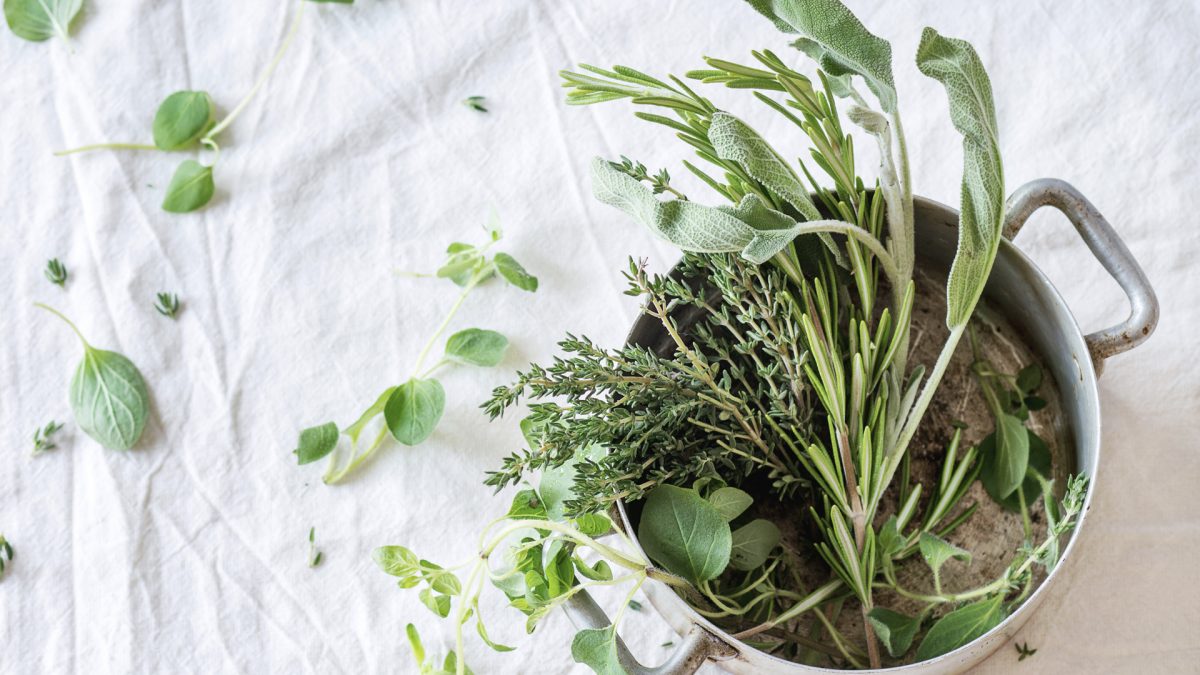 Best Aromatherapy Herb for Alzheimer's