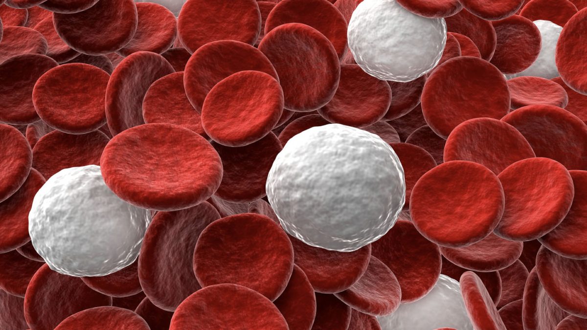 What Is The Ideal White Blood Cell Count 