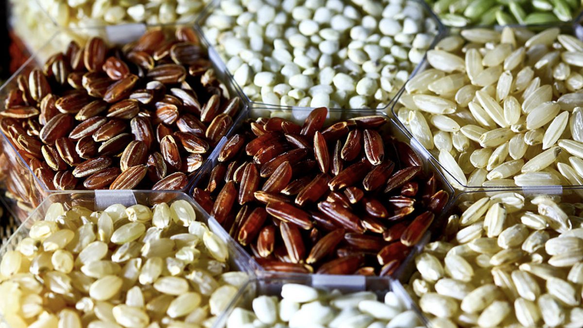 Which Rice Has Less Arsenic: Black, Brown, Red, White or Wild?