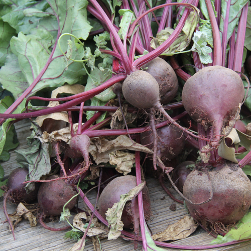 Beets