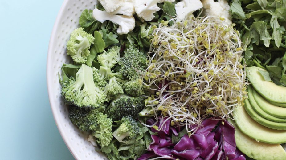 Fever Benefits for Autism in a Food