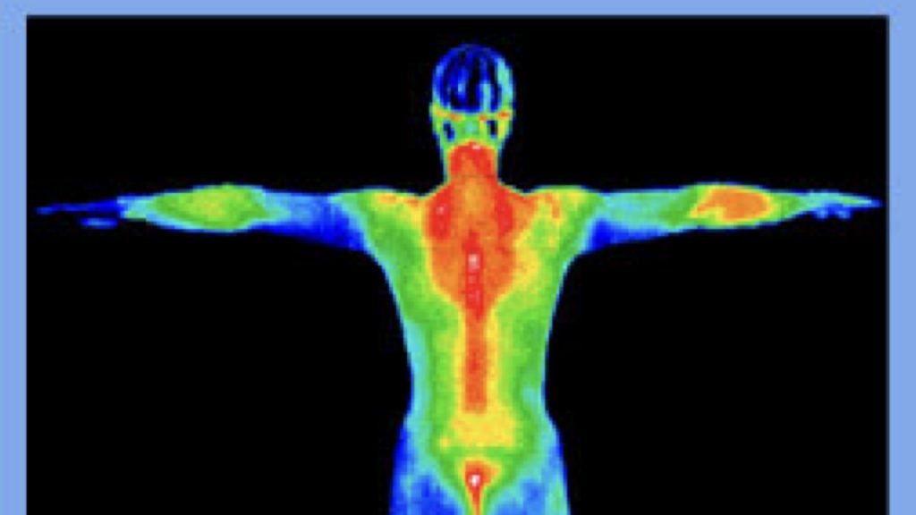 Brown Fat Losing Weight Through Thermogenesis