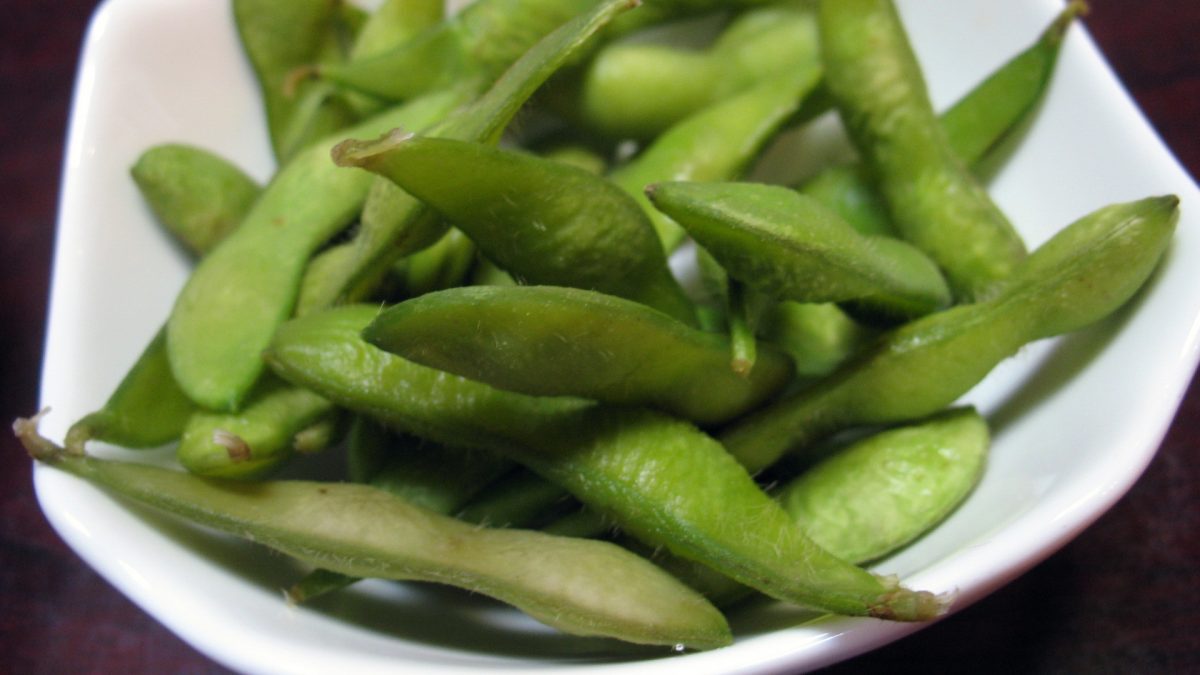 Soy Phytoestrogens for Menopause Hot Flashes