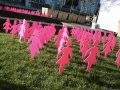 Should Women Get Mammograms Starting at Age 40?