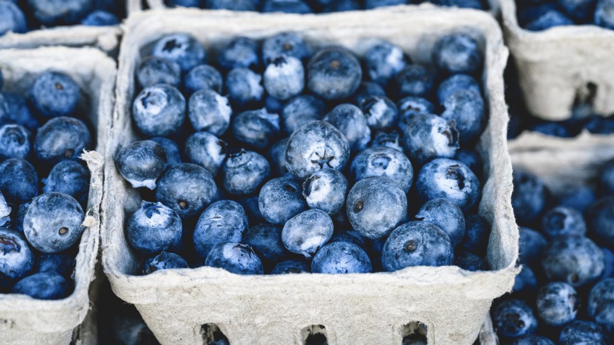 Benefits of Blueberries for Artery Function