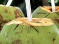 Coconut Water and Depression