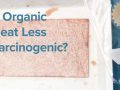 Is Organic Meat Less Carcinogenic?