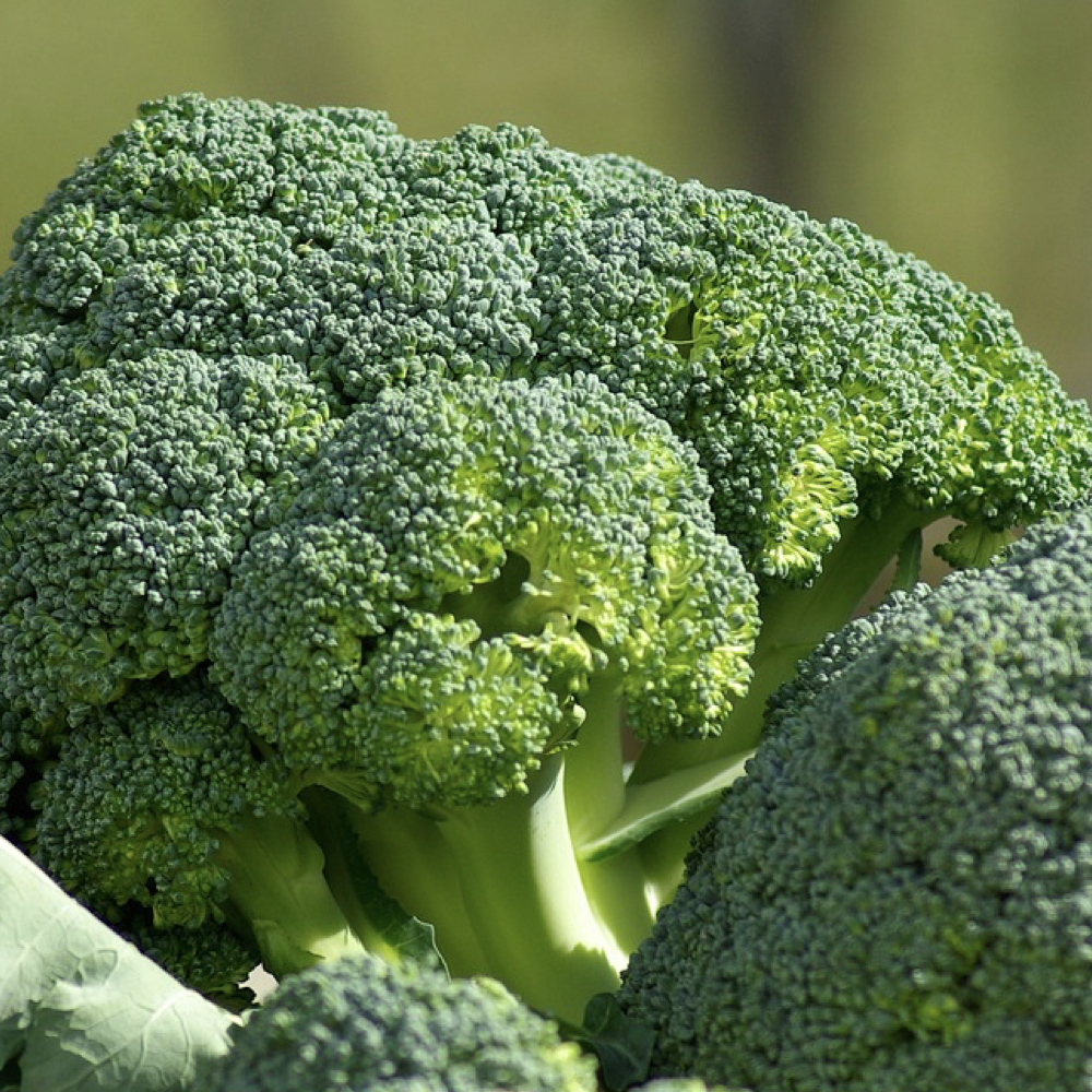 Broccoli 100g - Apport En Proteines Et Mineraux - Quiko