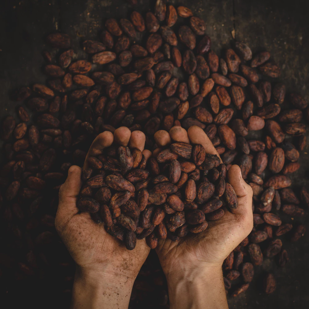 Cocoa and Nutrition | Health Topics | NutritionFacts.org