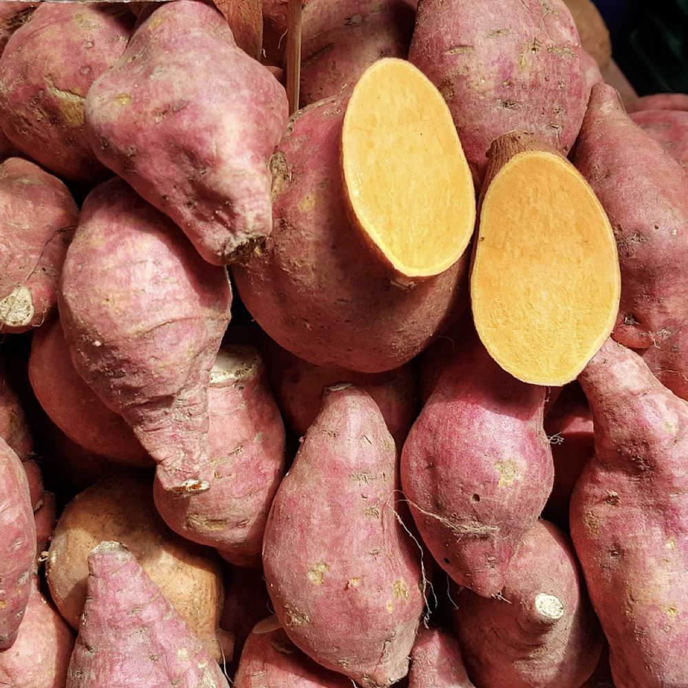 West African Yams Information and Facts