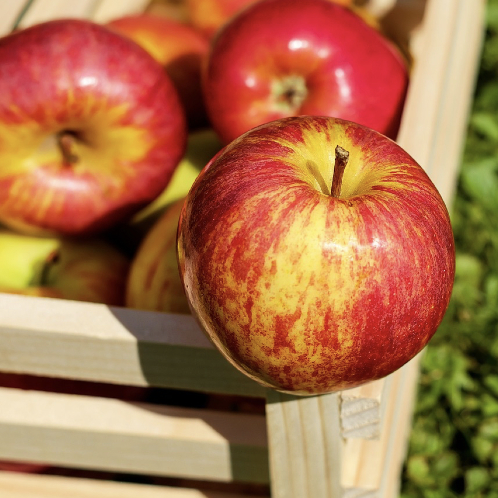 Batir, licuar o exprimir: ¿cuál es la forma más sana de comer fruta y  verdura?