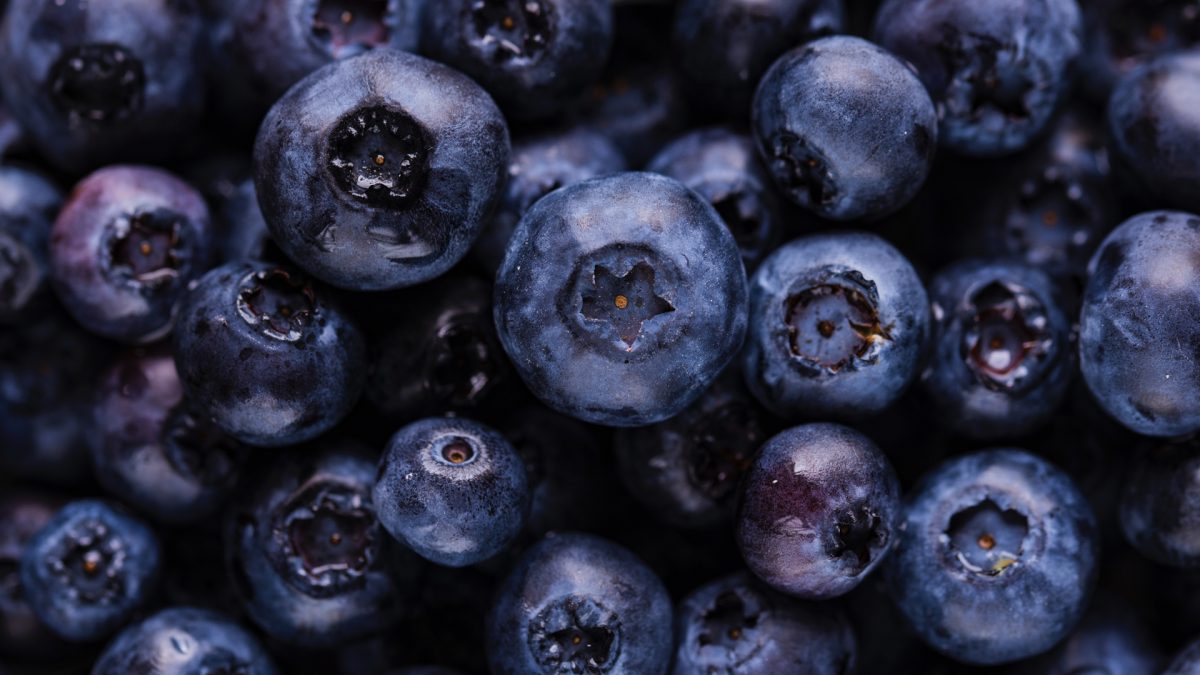 Benefits of Blueberries for the Brain