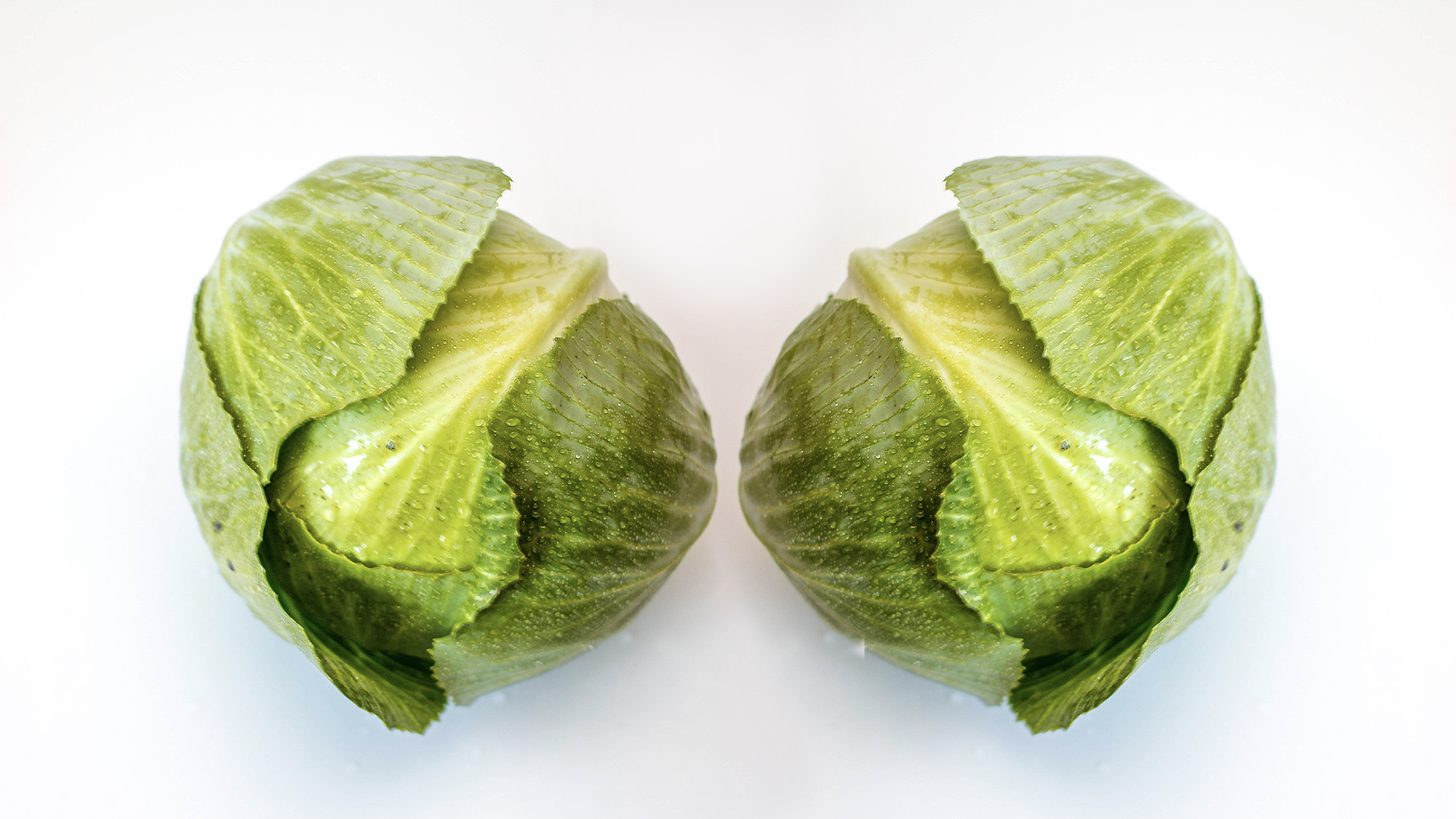 From Pain to Gain: The Magic of Cabbage Leaves for Weaning