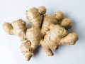 Benefits of Ginger for Obesity and Fatty Liver Disease