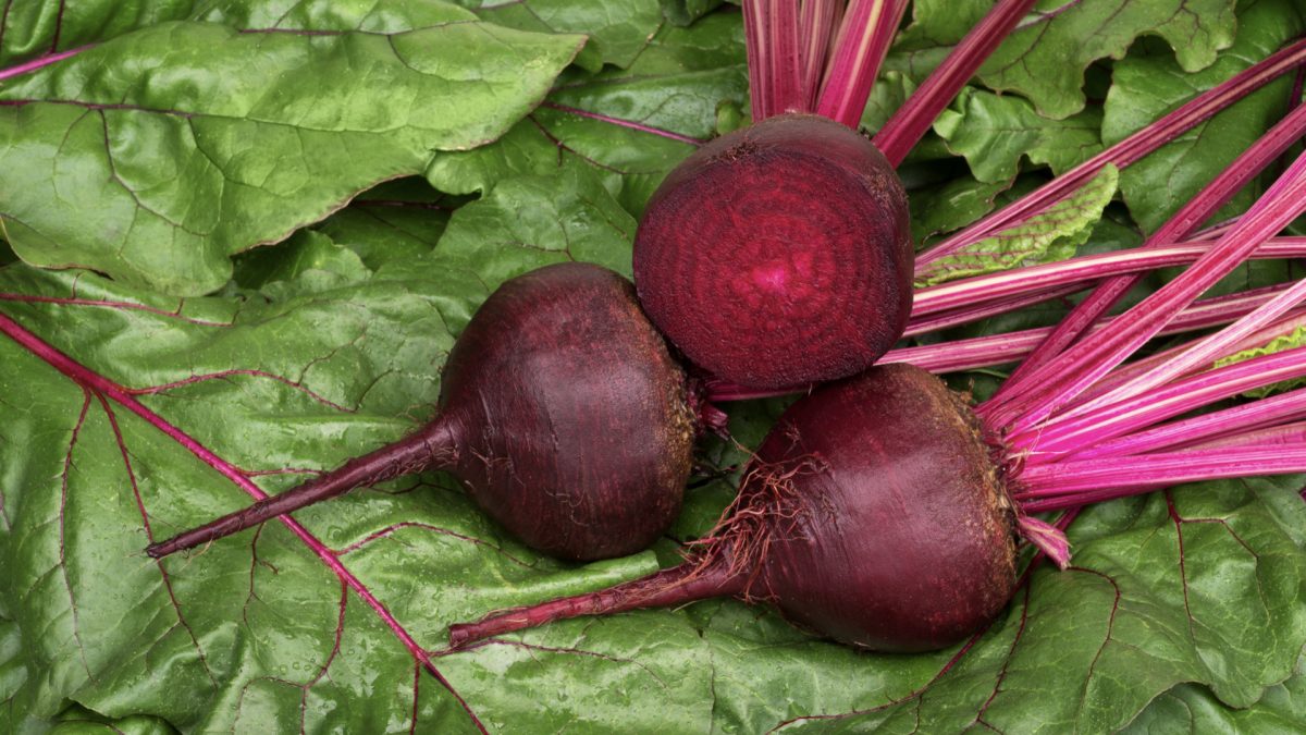 Best Brain Foods Greens and Beets Put to the Test