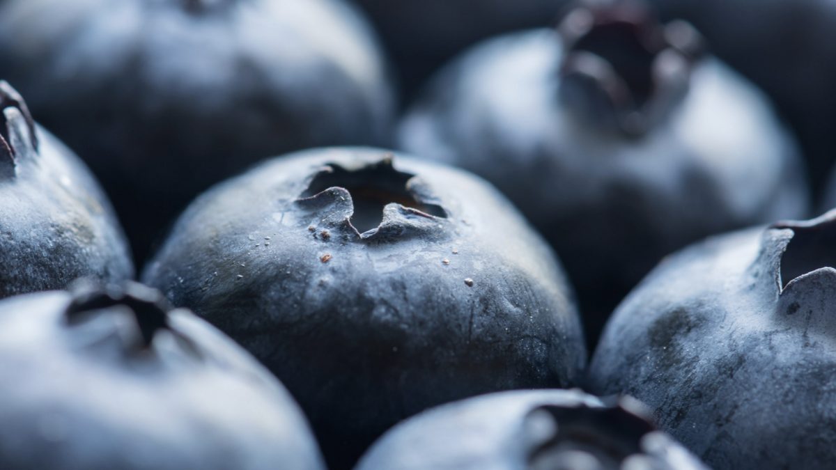 blueberries for heart disease
