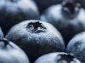 blueberries for heart disease