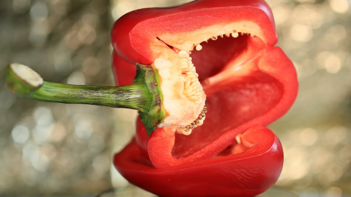 red bell pepper nutrition facts