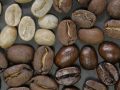 Which Coffee Is Healthier: Light vs Dark Roast?