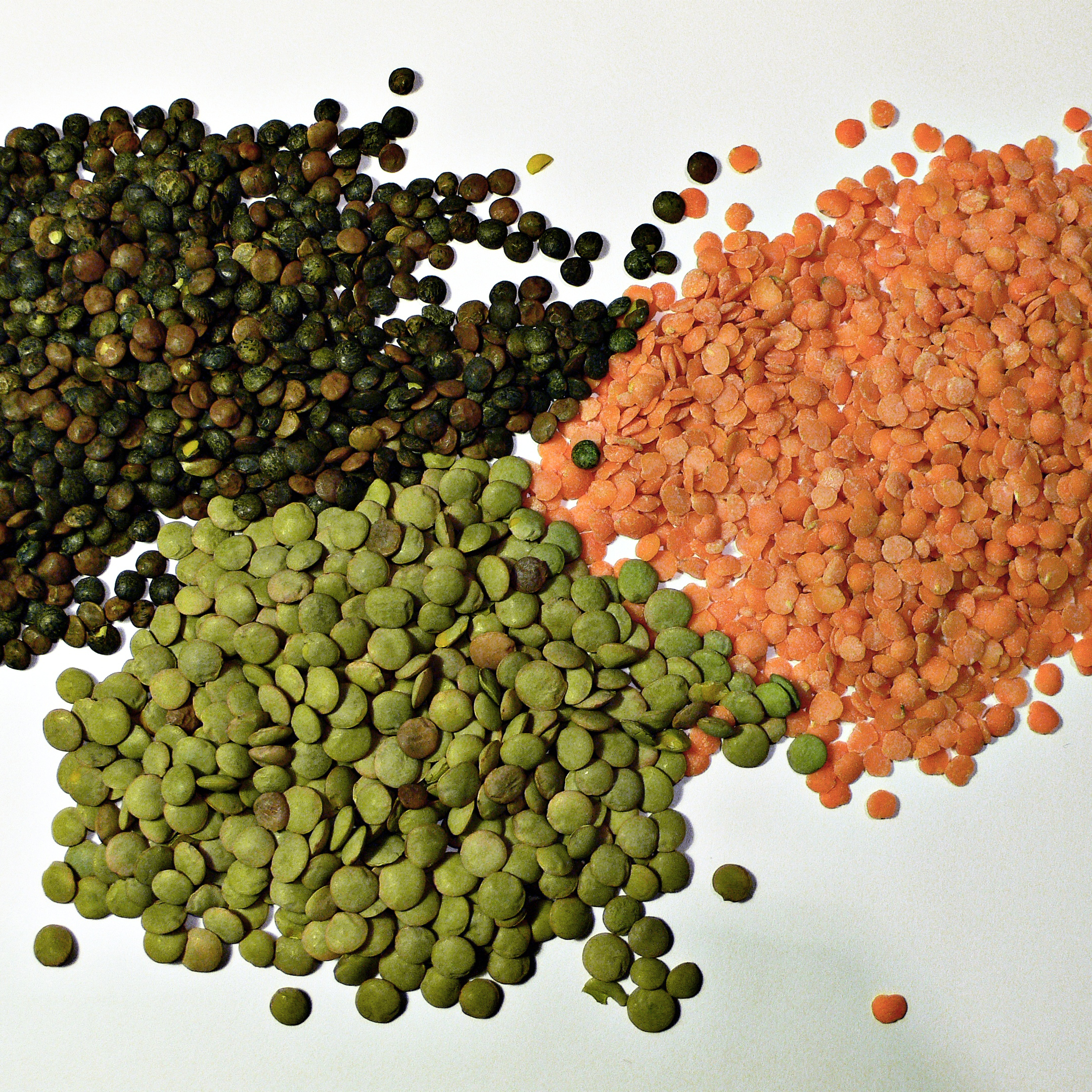 Lentils