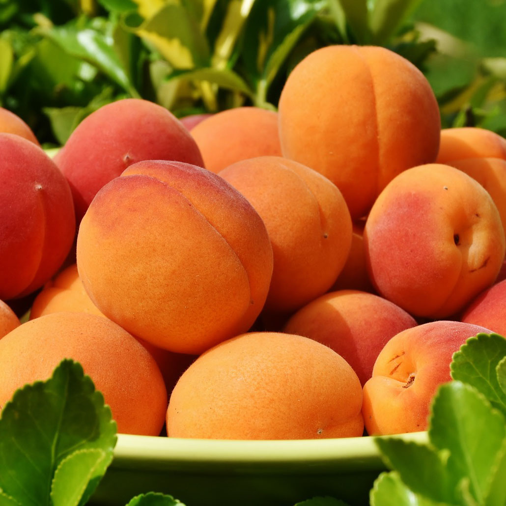 apricots | Health Topics | NutritionFacts.org