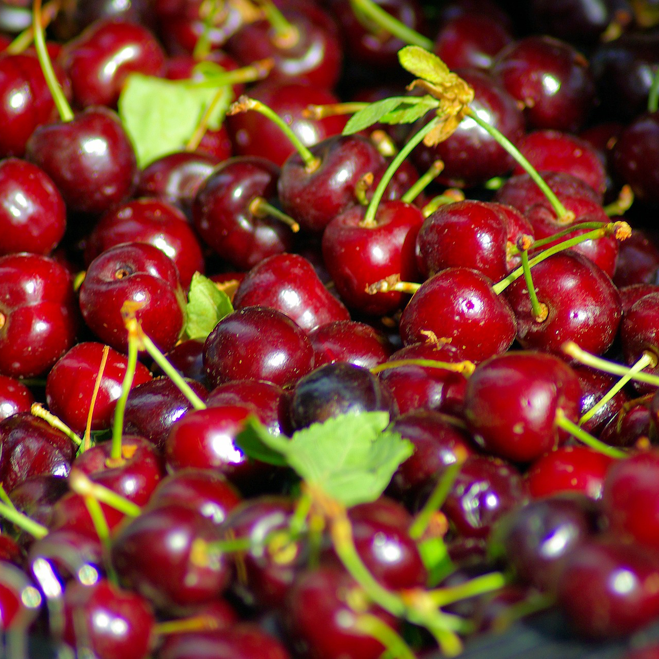 Cherries