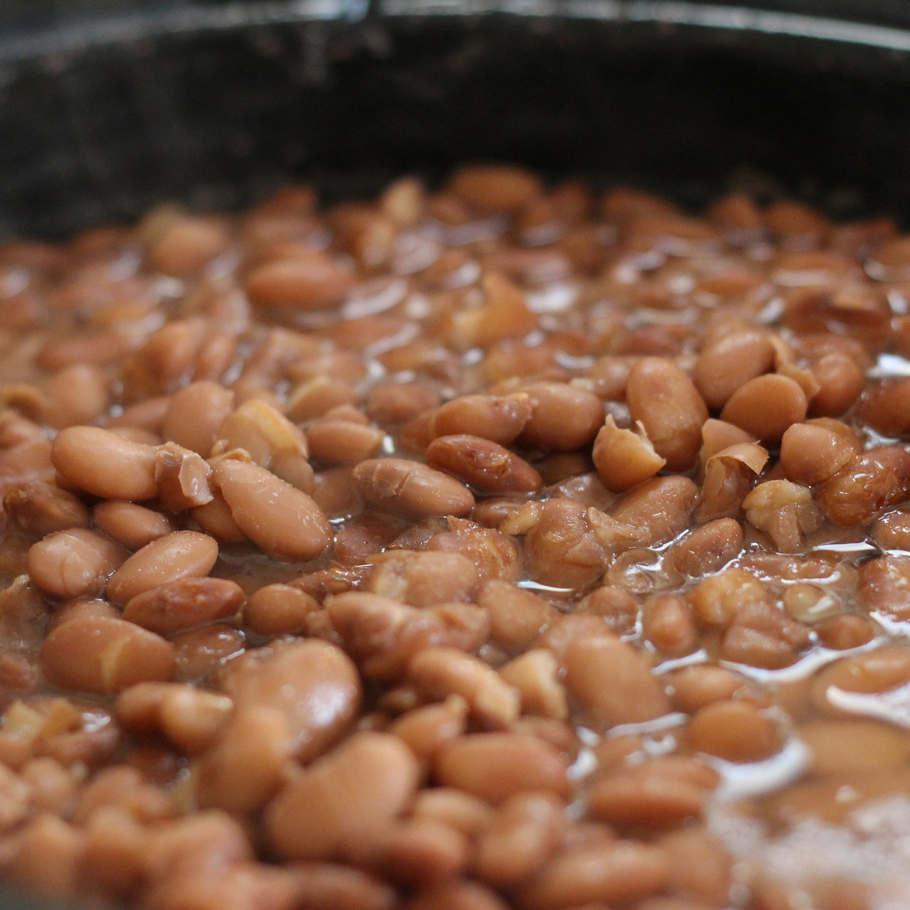 Pinto Beans Nutrition Facts and Health Benefits