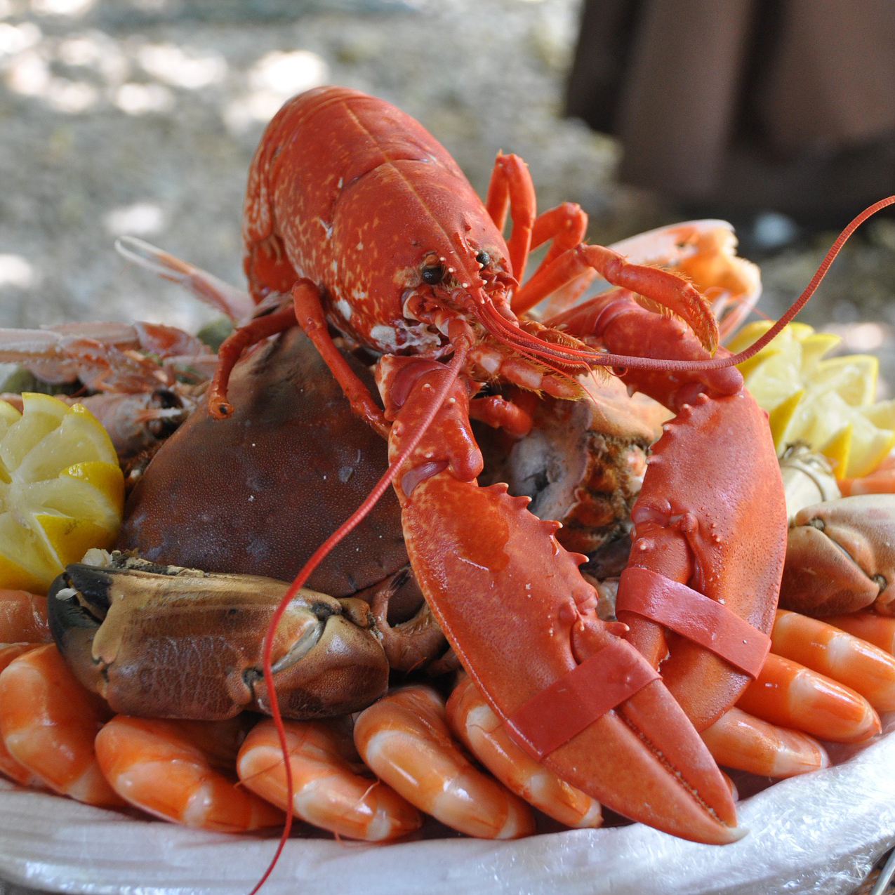 Comida De Mar