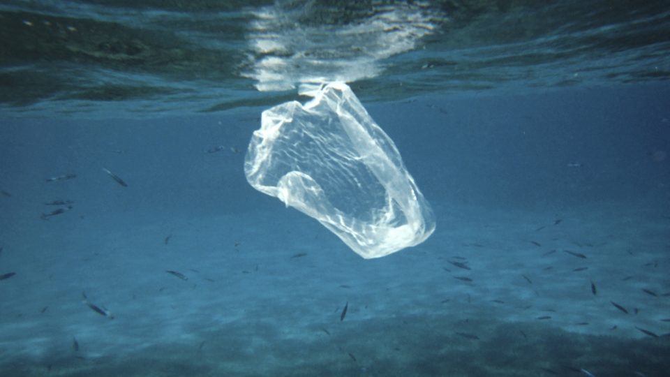 Is Your Seafood Contaminated The Atlantic Microplastic Crisis Explained - 2h69ckj