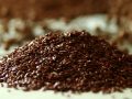How Well Does Cooking Destroy the Cyanide in Flax Seeds