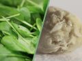Oxalates in Spinach and Kidney Stones Should We Be Concerned?