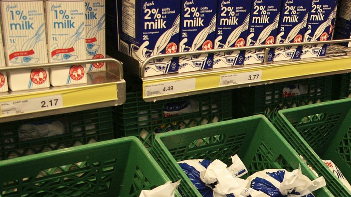 Could Lactose Explain the Milk & Parkinson’s Disease Link?
