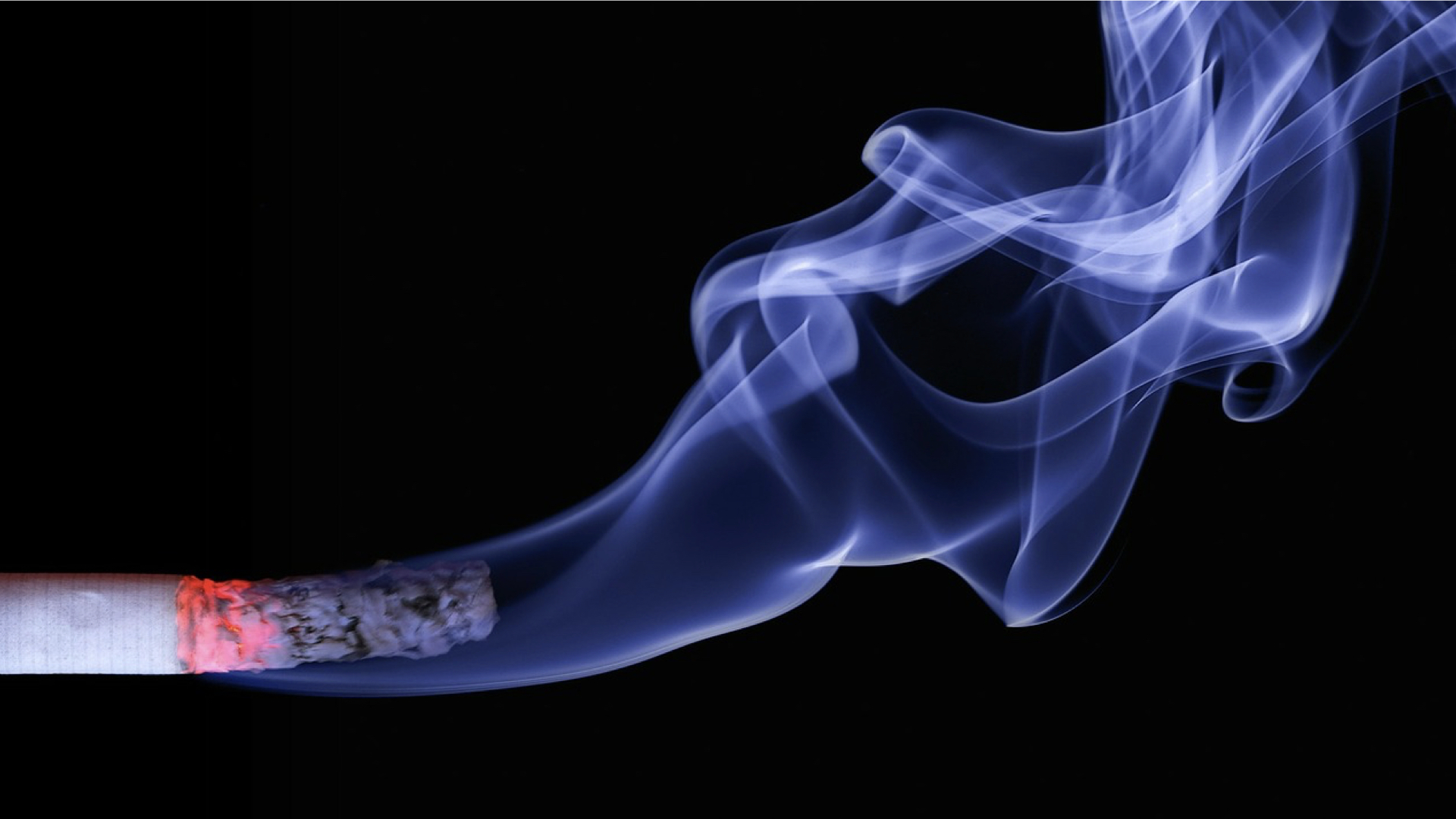 Animal Protein Compared to Cigarette Smoking