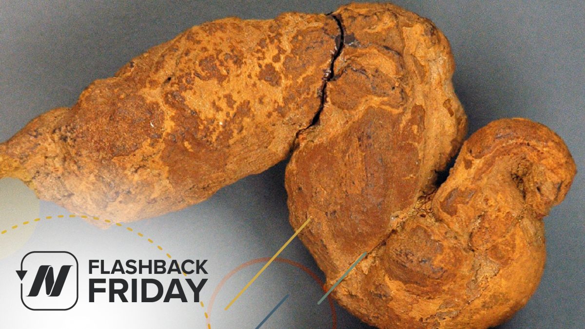 FBF - Paleopoo - What We Can Learn From Fossilized Feces