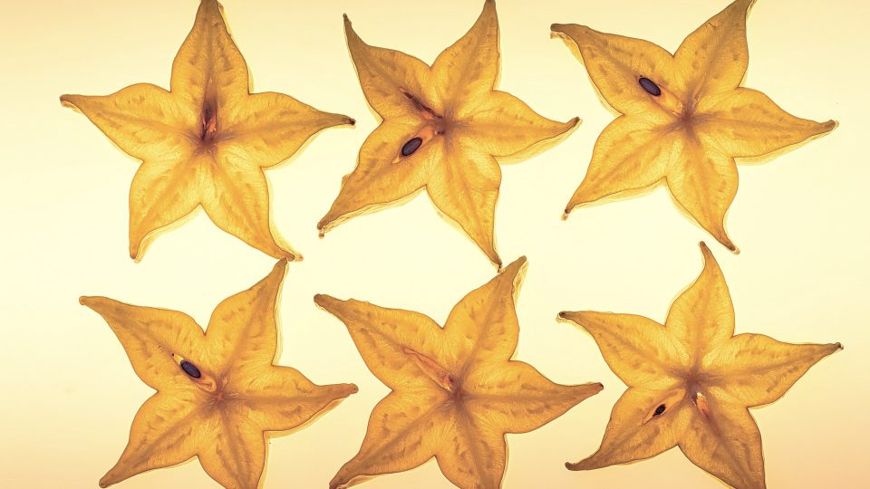 Neurotoxicity Effects of Star Fruit