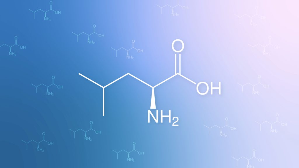 Are BCAA (Branched Chain Amino Acids) Healthy?