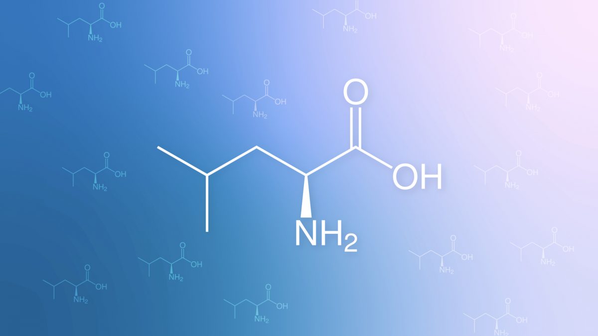 Are BCAA (Branched Chain Amino Acids) Healthy?