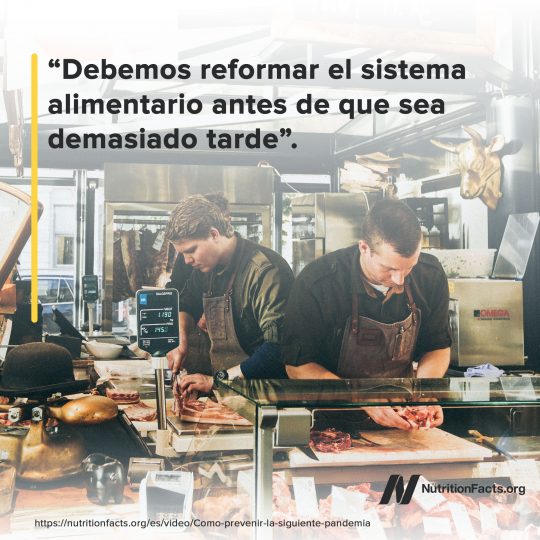 Reformar el sistema alimentario