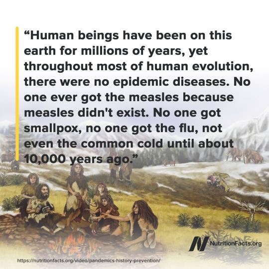 On epidemics throughout history