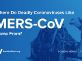 Where Do Deadly Coronaviruses Like MERS-CoV Come From?