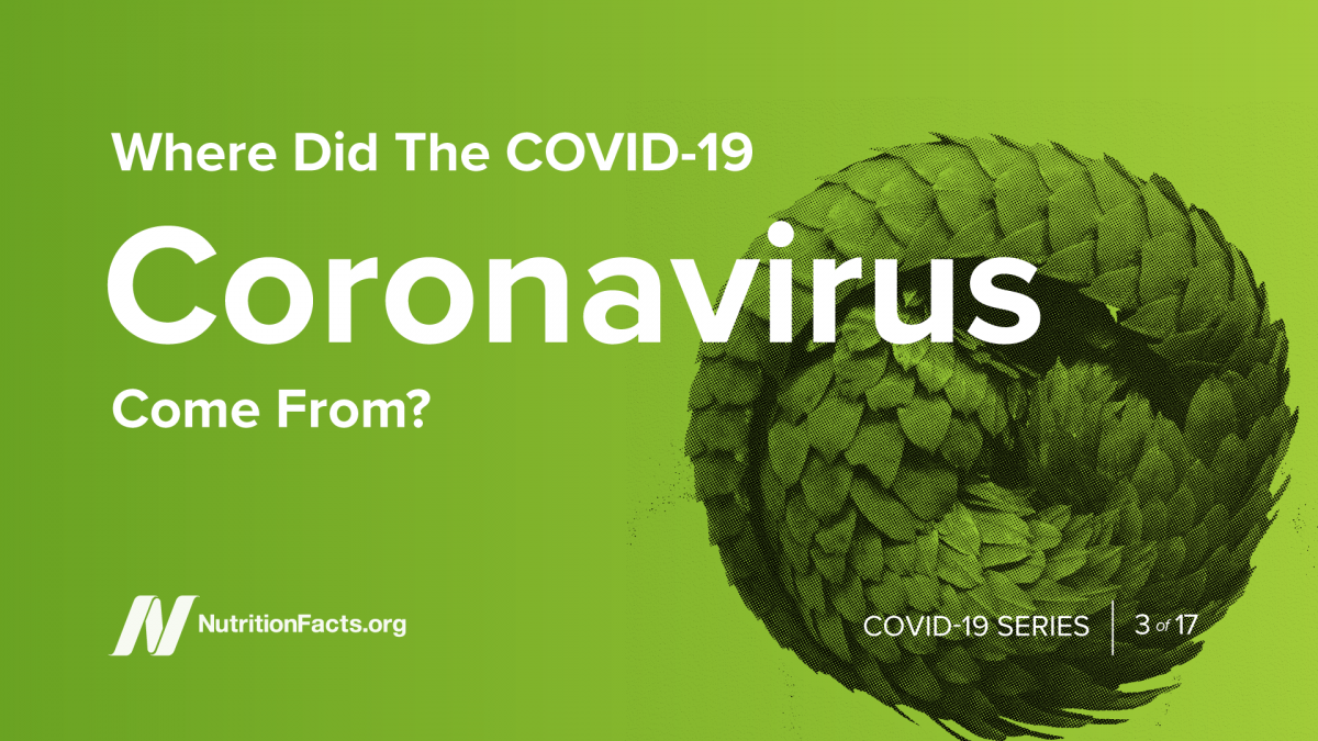 Where Did the COVID-19 Coronavirus Come From?