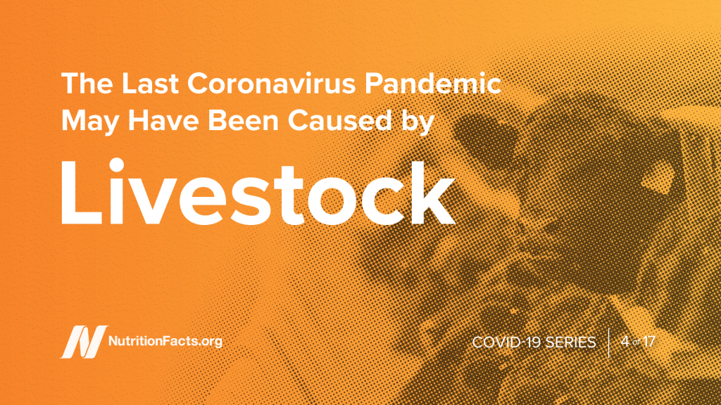 The Last Coronavirus Pandemic May Have Been Caused by Livestock