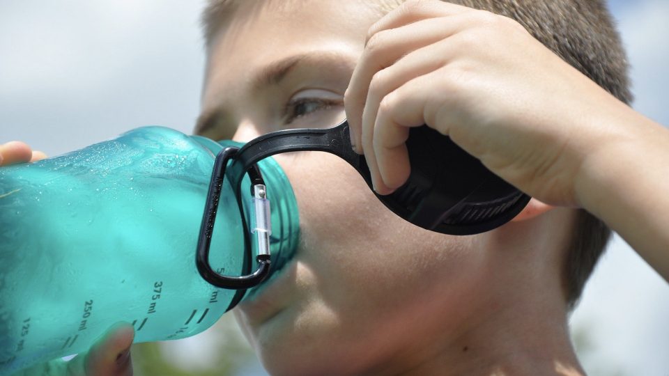 Are The BPA Free Plastics Like Tritan Safe NutritionFacts are-the-bpa-free-plastics-like-tritan-safe-nutritionfacts